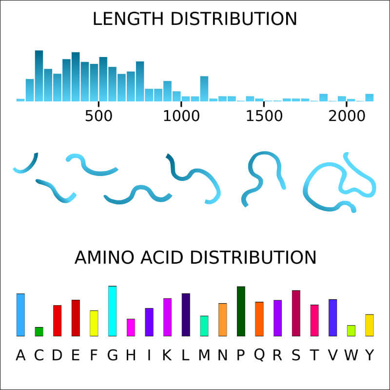 Explore Length Distribution and Amino Acid Distribution statistics to know the size and composition of phase-separated proteins.