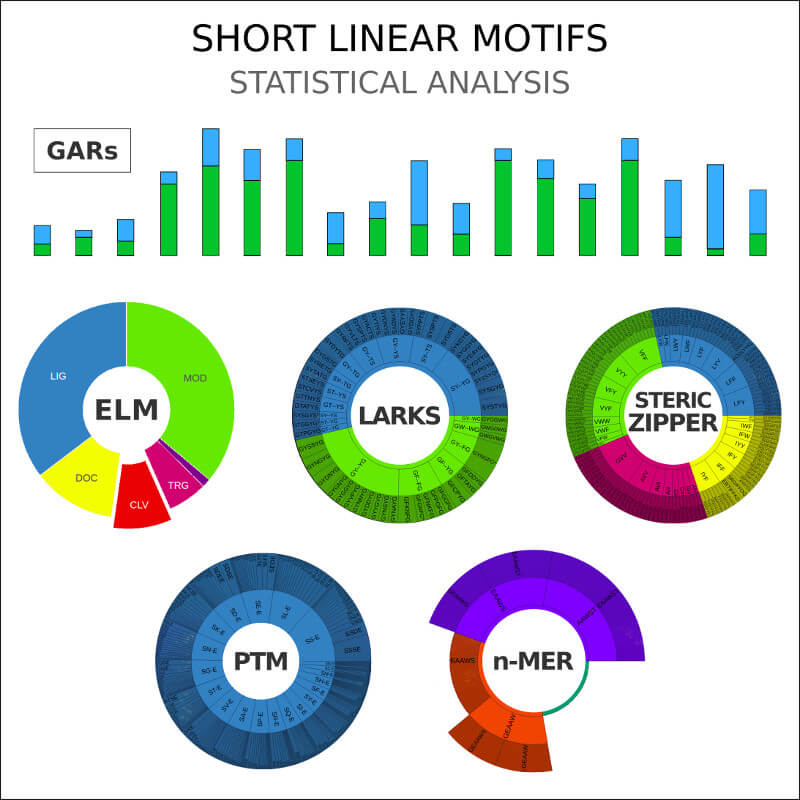Explore the counts & types of short linear motifs (SLiMs) detected in a complete set of LLPS proteins.