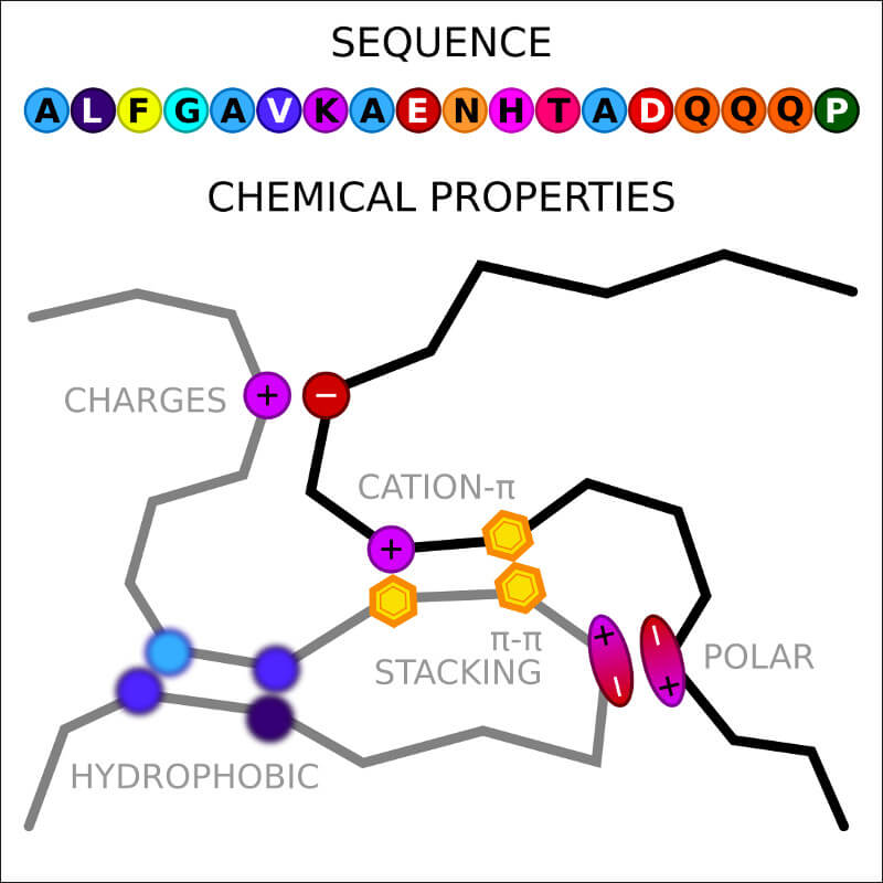 Explore chemical patterns of LLPS sequence, including: polarity, hydrophobicity, aromaticity, charge decoration, secondary structure, solvent accessibility, structural disorder, evolutionary conservation and MSA profile.