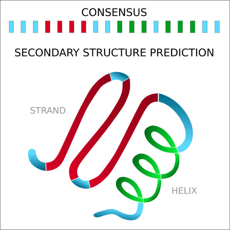 Explore the sequence-based prediction of the secondary structure elements for given phase-separated sequence, including the consensus of state-of-the-art methods.