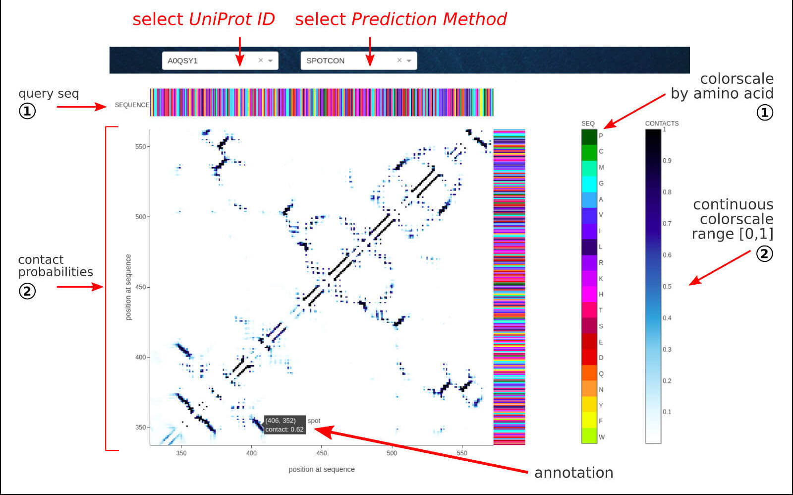 BIAPSS - Sequence-based predictions of contact maps for a given LLPS sequence.