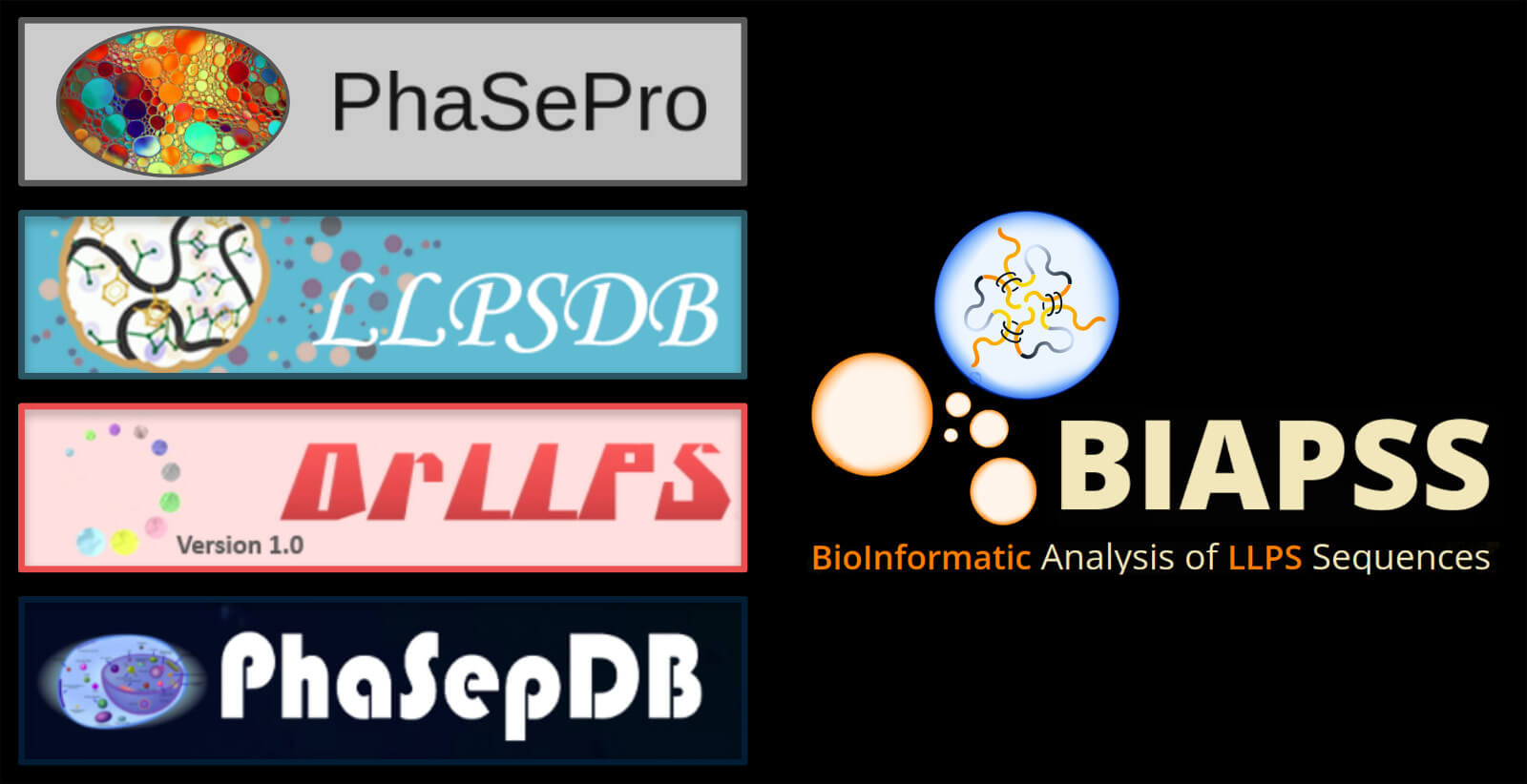 BIAPSS database contains a superset of 501 unique, experimentally evidenced LLPS sequences.